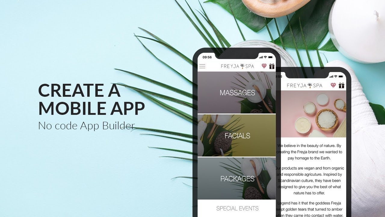 Application Mobile