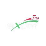 logo_expert_pro-removebg-preview